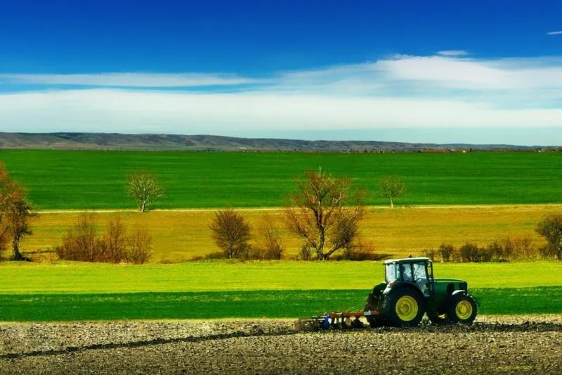 Ile można zarobić na hektarze ziemi? Odkryj potencjał swojego pola