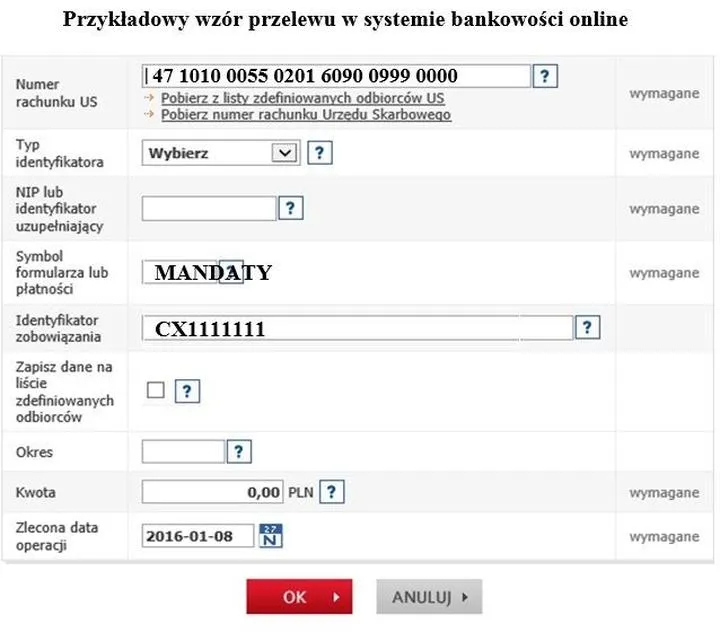 Jak zapłacić mandat online