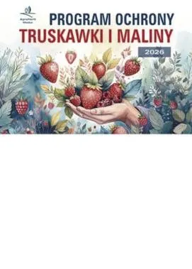 Koszty produkcji malin