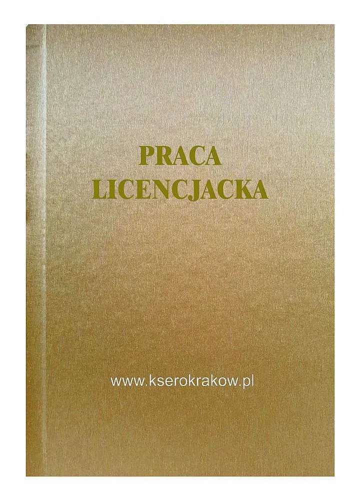 Podsumowanie pracy licencjackiej
