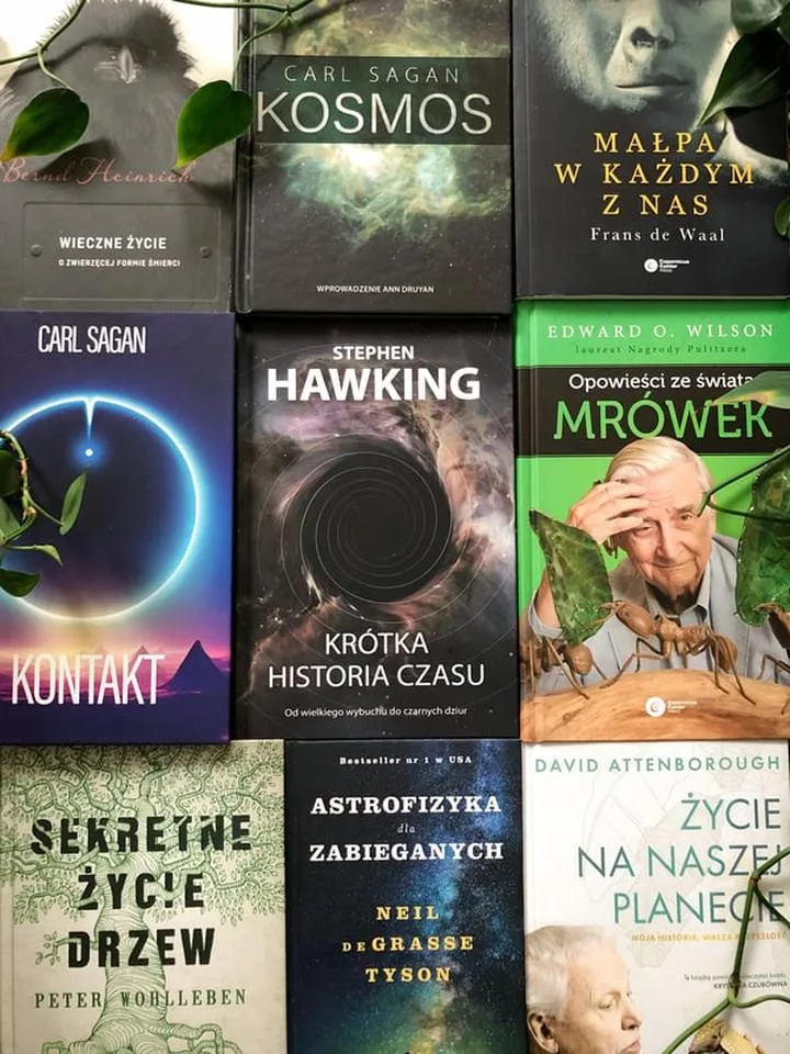 Ścieżka kariery pisarza