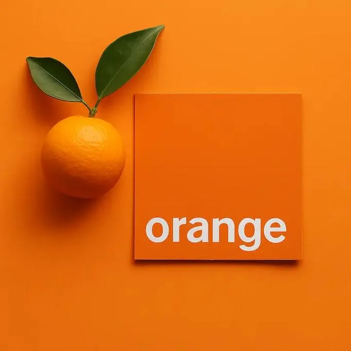 Skarbonka Orange