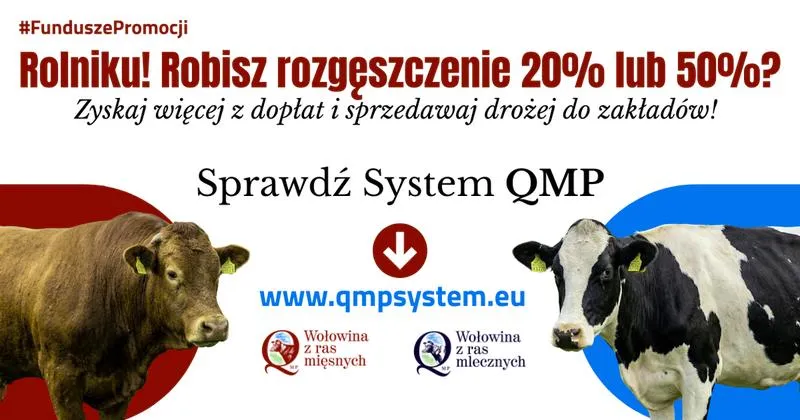 Sprzedaż niepotrzebnych rzeczy