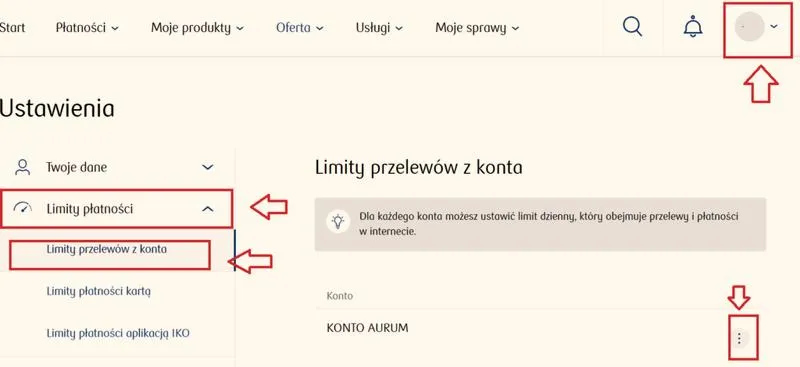 System Elixir w przelewach