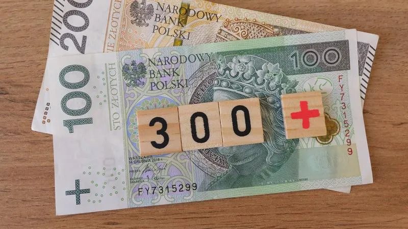 Terminy i dokumenty 300 plus