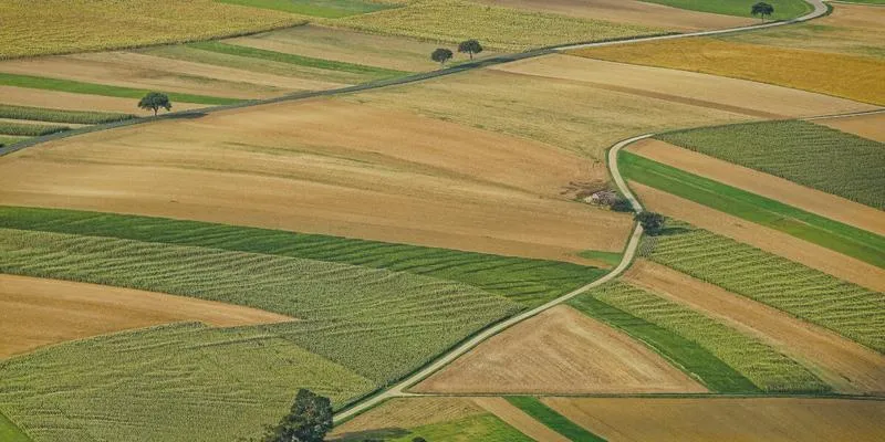 Zyski z hektara